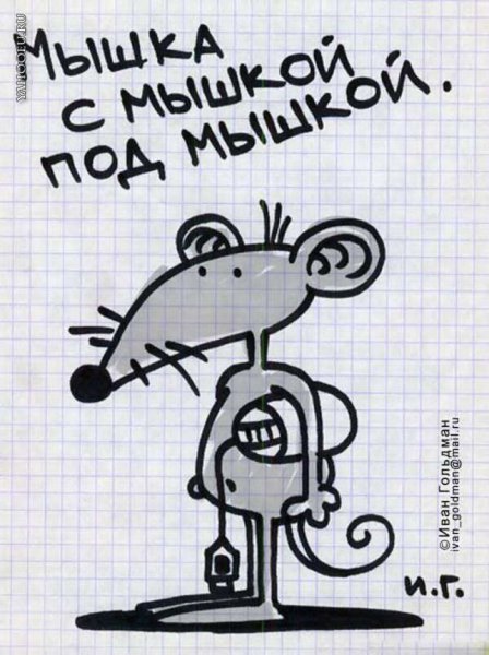 Фразеологизмы смешные картинки