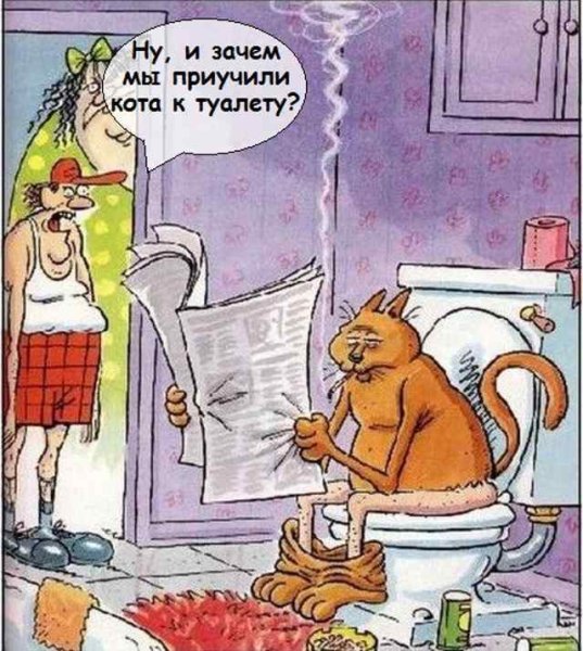 Смешные картины в туалет