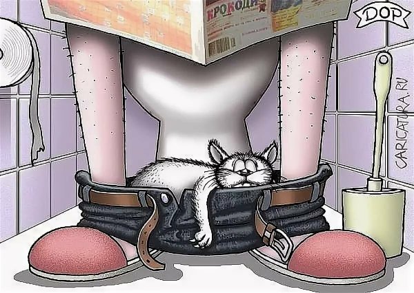 Карикатуры на кошек и котов