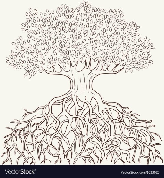 Семейное дерево с корнями