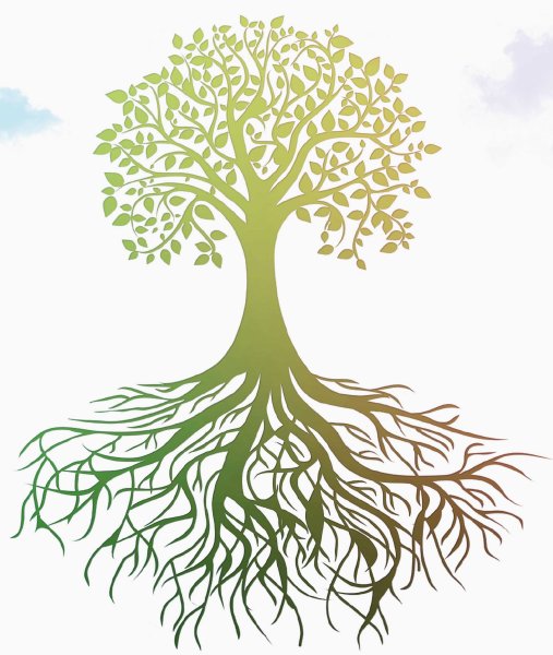Большое дерево с корнями