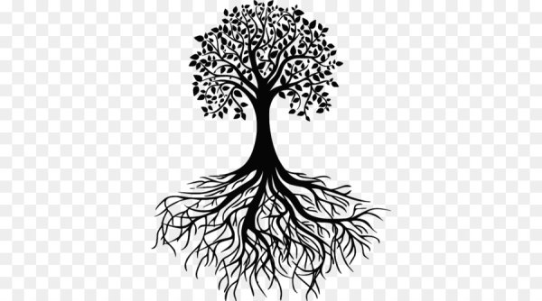 Корни дерева