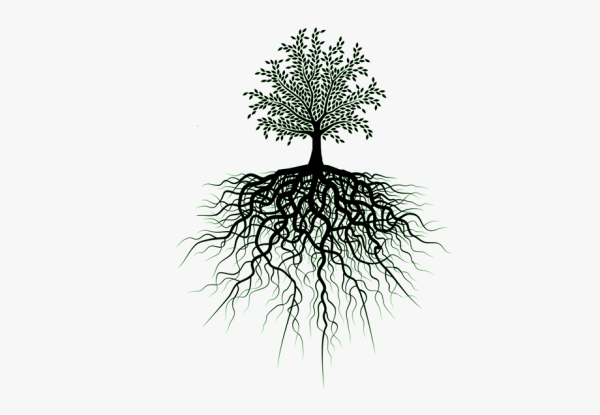 Дерево с корнями силуэт
