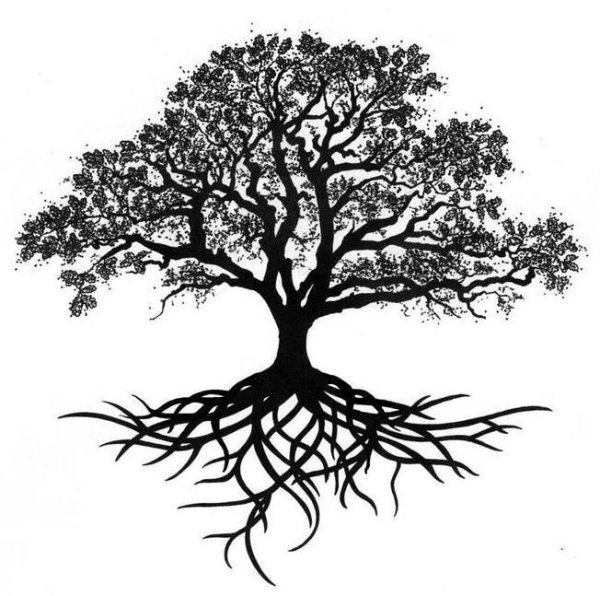 Дуб стилизация