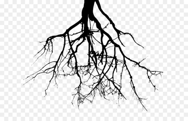 Дерево с корнями вектор