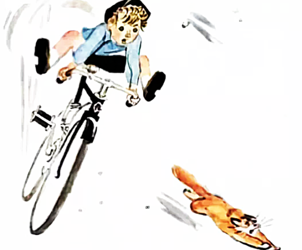 Мотогонки по отвесной стене Драгунский