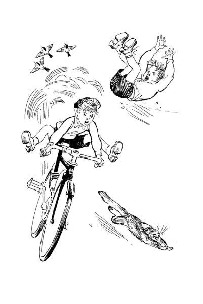 Драгунский Денискины рассказы мотогонки по отвесной стене