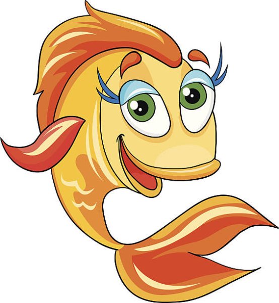 Золотая рыбка забавная