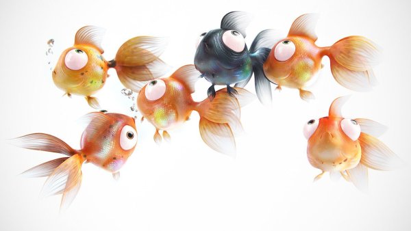 Смешная рыба арт