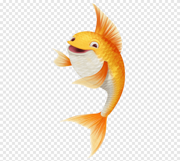 Рыбка на прозрачном фоне