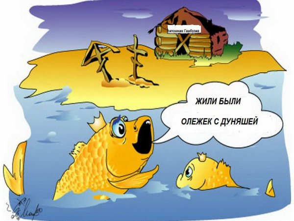 Золотая рыбка картинки прикольные