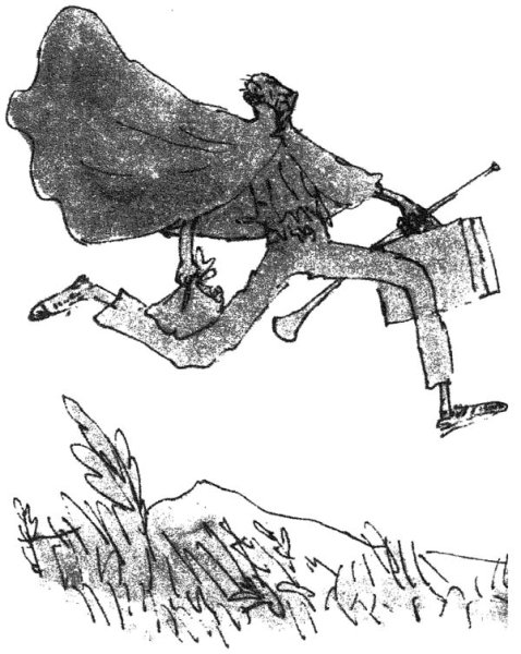 Роальд даль БДВ