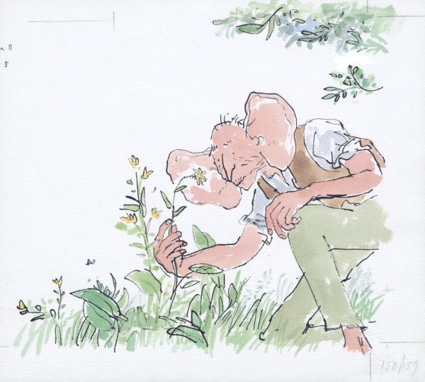 БДВ большой и добрый великан