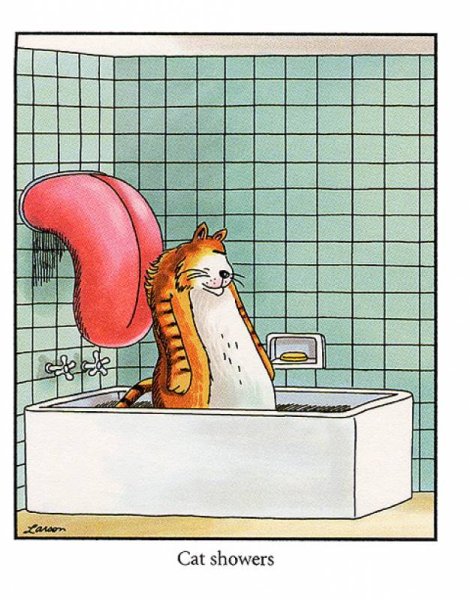 Карикатуры в ванной