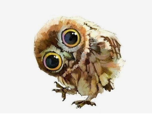 Филин с большими глазами