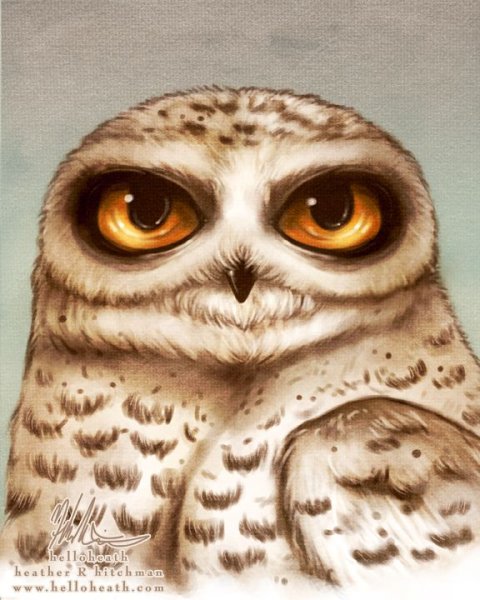 Сова арт с большими глазами