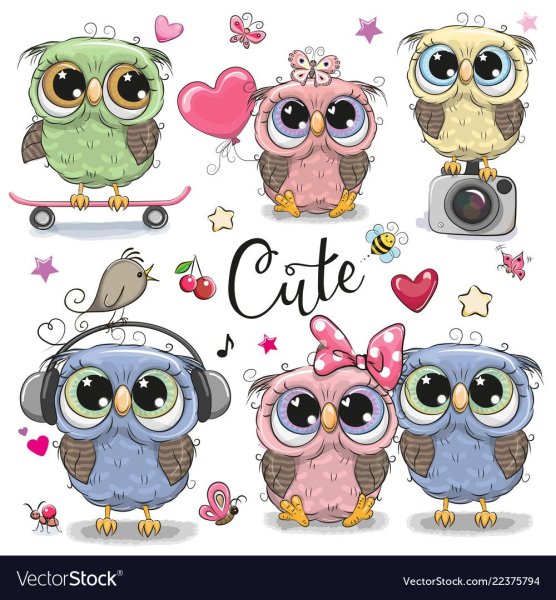 Милые Совята на белом фоне