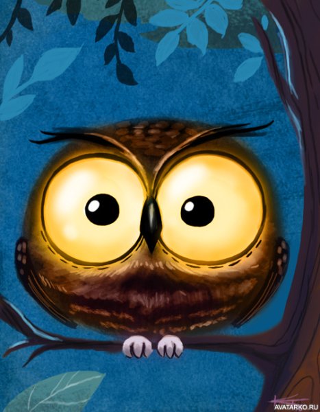 Спокойной ночи Сова