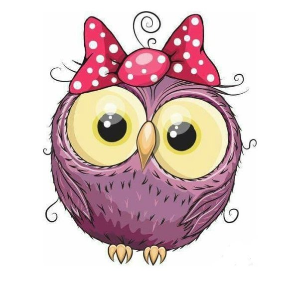 Сова рисунок милый