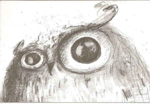 Глаз Совы карандашом