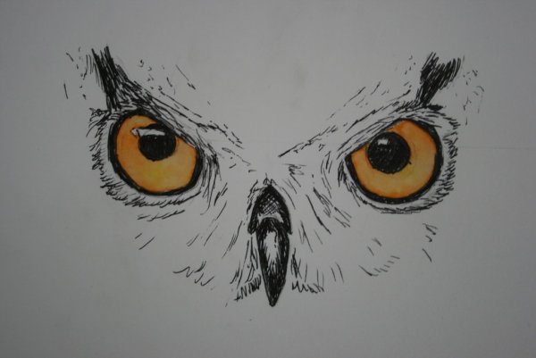 Глаз Совы карандашом