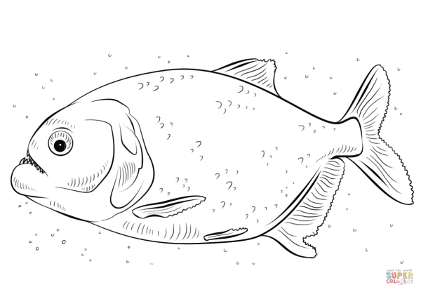 Пиранья раскраска