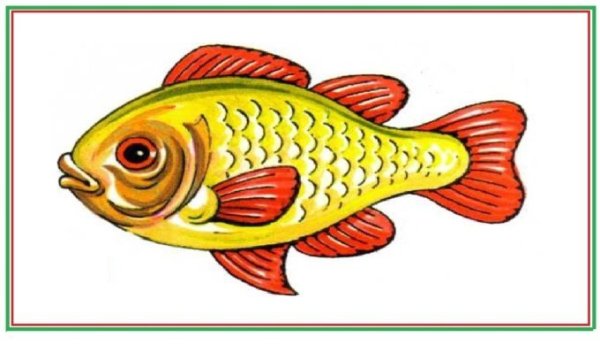 Изображение рыбы для детей