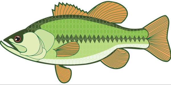Рыба вектор