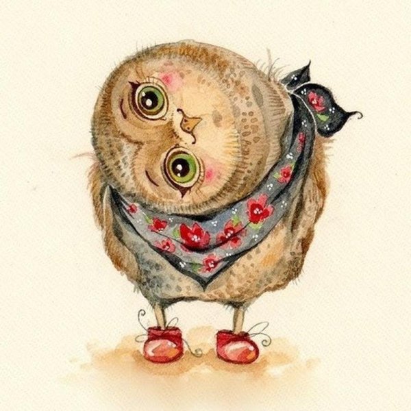 Смешная Сова рисунок