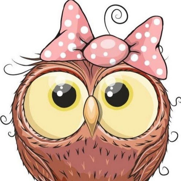 Чокнутая Сова