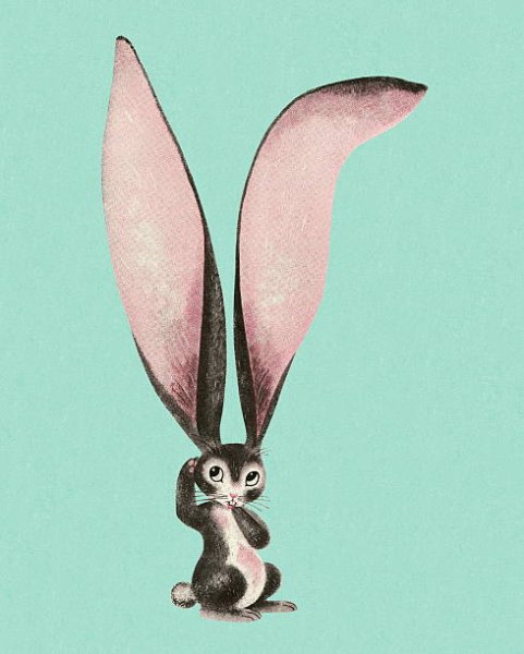 Кролик длинные ушки