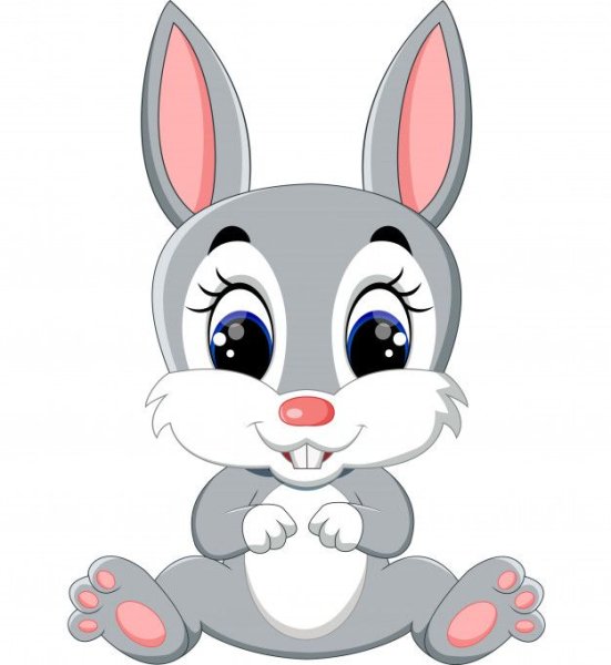 Мордочка и лапкищайчика