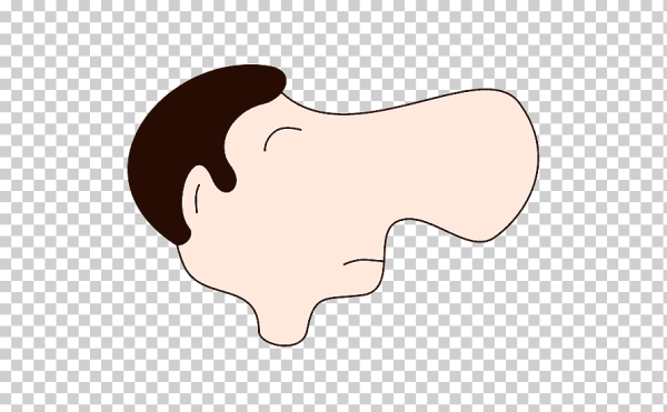 Нос схематично