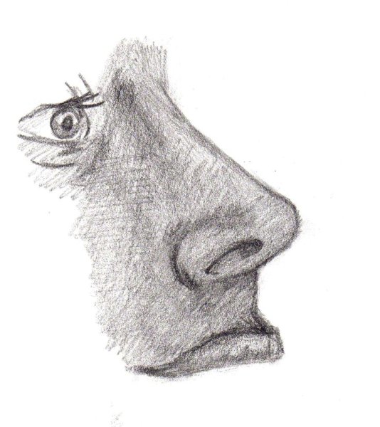 Нос карандашом