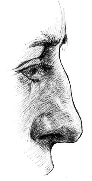 Пластическая анатомия носа