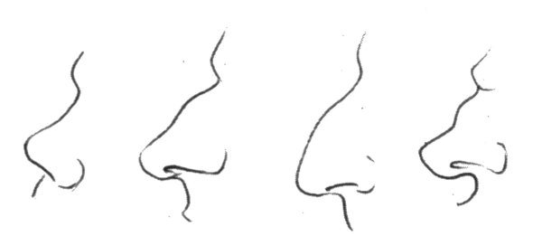 Референс Носов с горбинкой