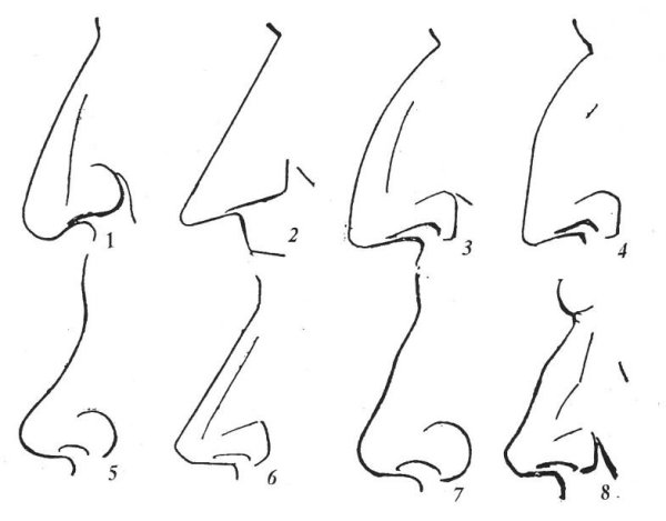 Референсы нос с горбинкой