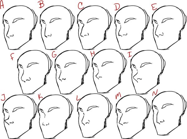 Формы Носов референс