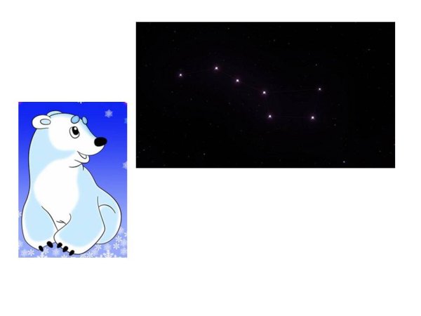 Белый медведь и небо