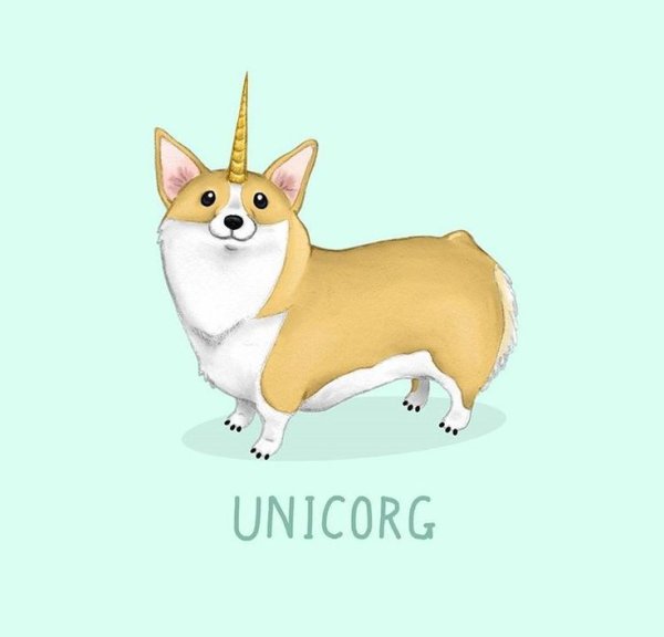 Корги Единорог