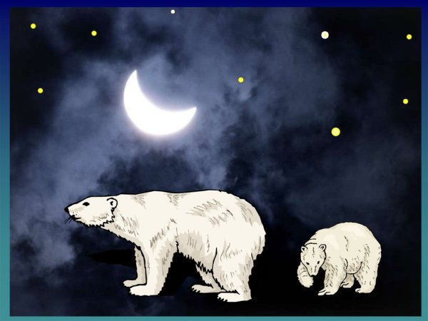 Северное сияние Медведица Умка