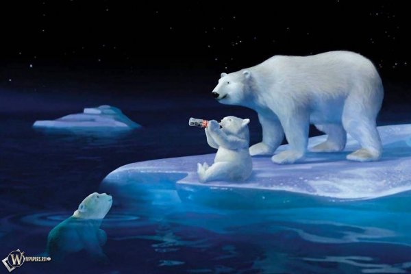 Alison Edgson иллюстрации