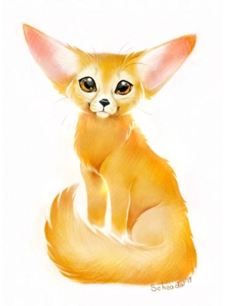 Лиса фенек арт