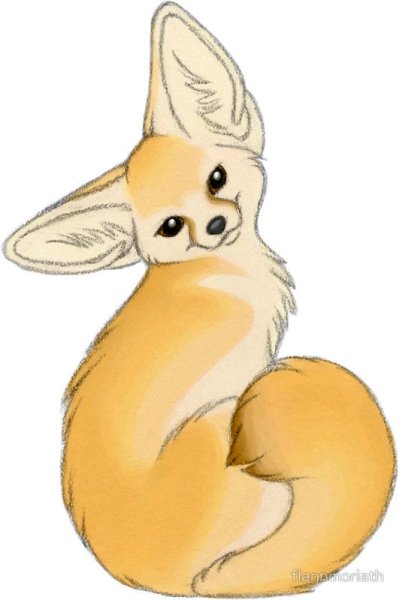 Стикеры Fennec Fox