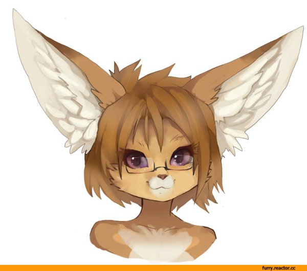 Фурри фенек Фокс