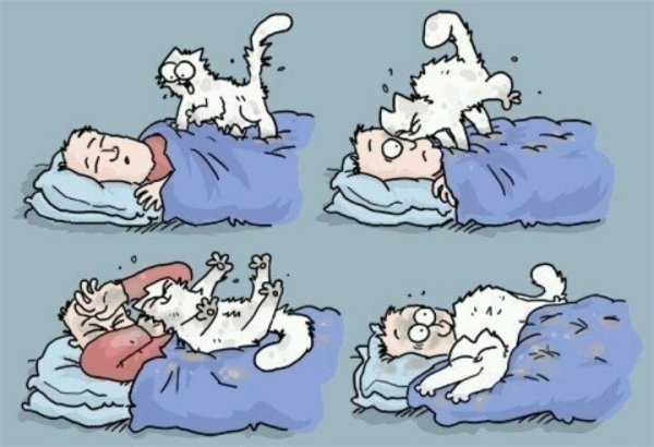 Юмор про сон