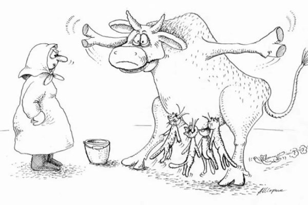 Карикатуры смешные