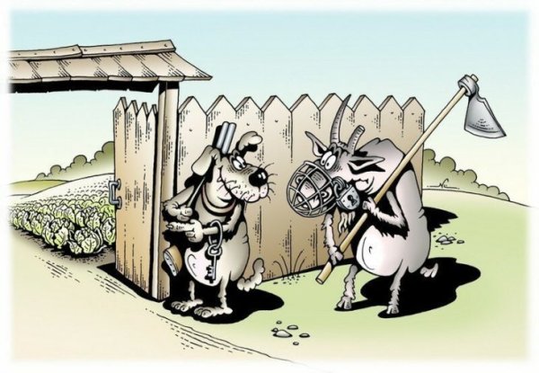 Карикатуры смешные