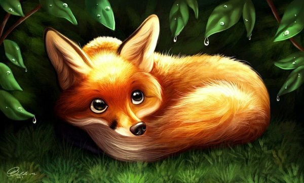 Мультяшные лисички