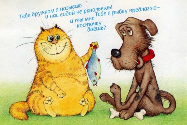 Забавные открытки